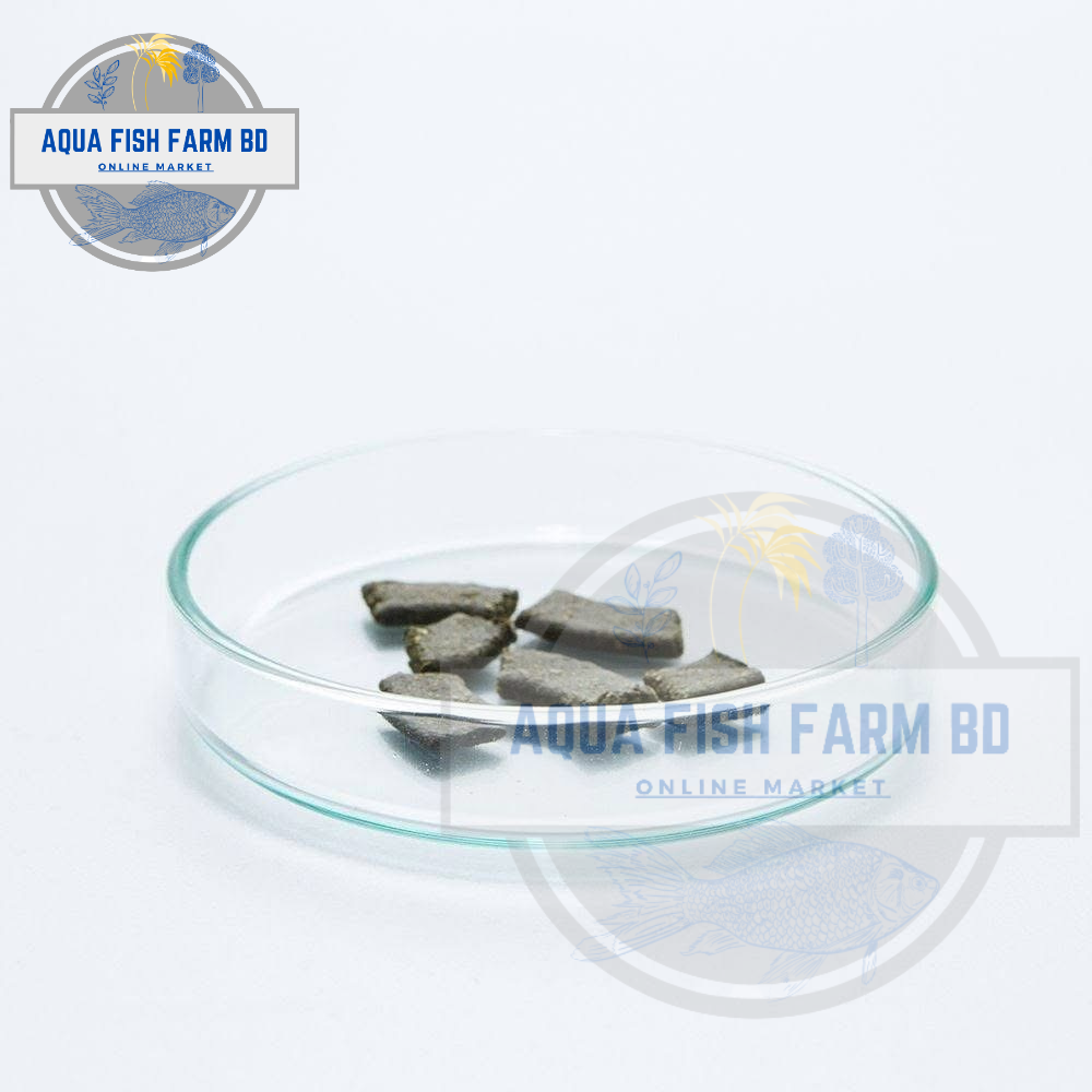 Shrimp Feeding 2 inch Size Round Glass Dish