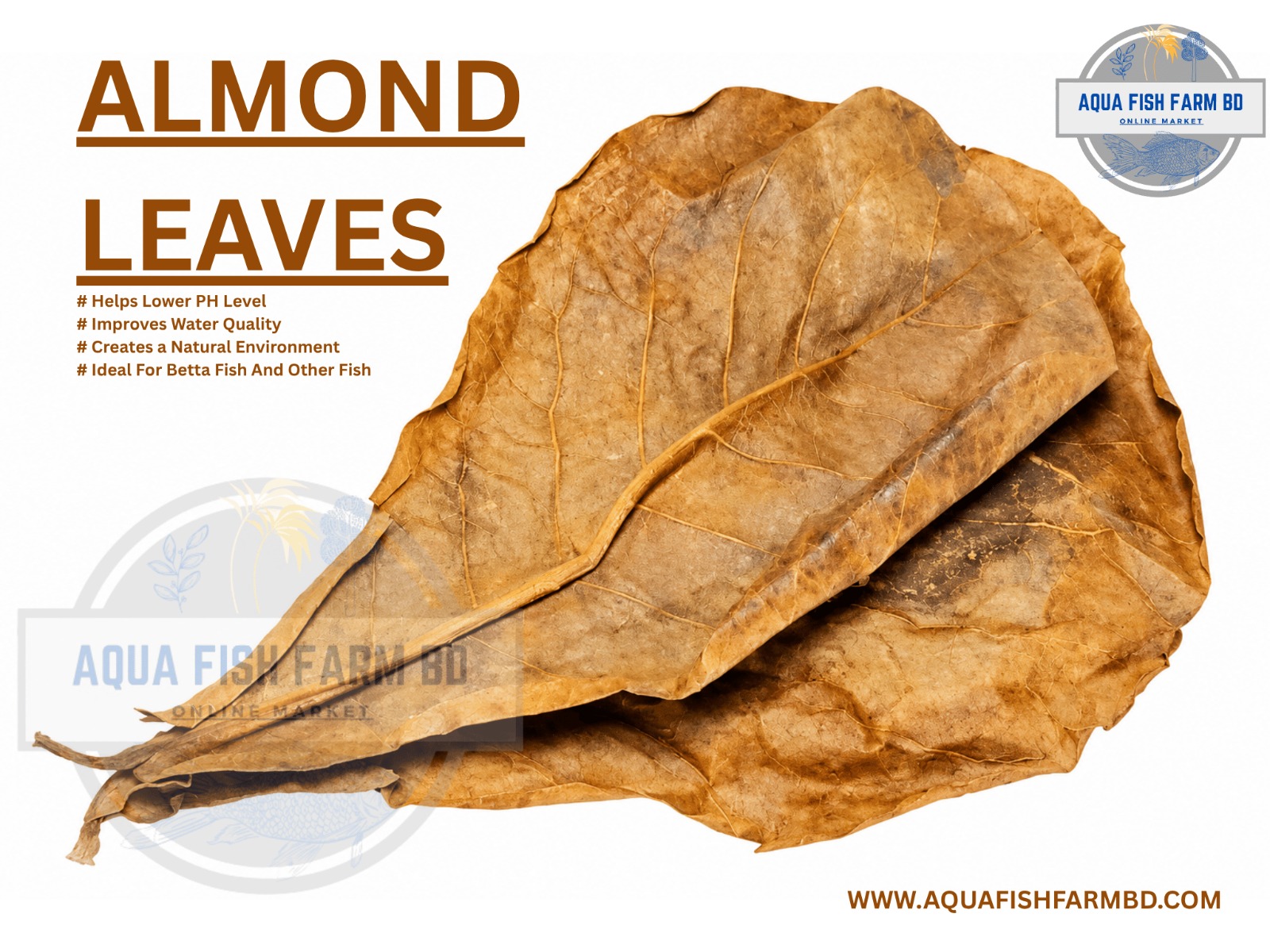 Almond Leaves (5Pcs) For Fish Tank Good Water Quality